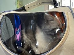 -全心全意连锁动物医院·特色中医诊疗(会城门分院)