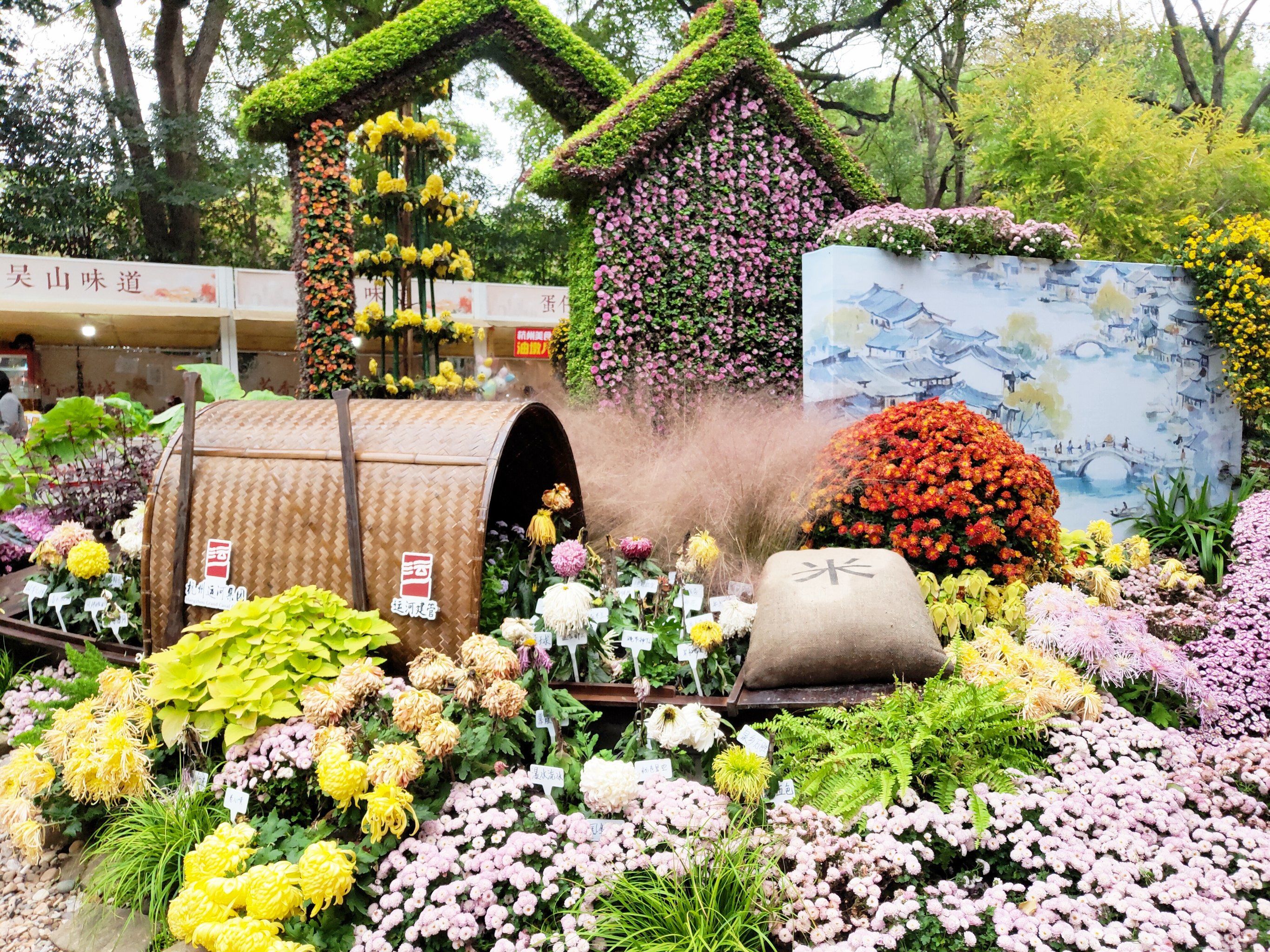 美轮美奂的花卉展