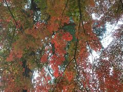-青岛崂山太清宫