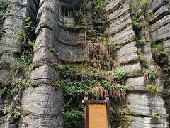 -梭布垭石林景区