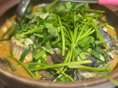 -九道菜有鸡鱼头(石鼓路店)