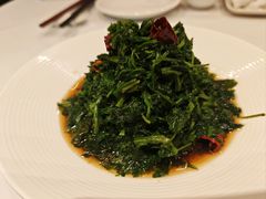 -凯鸽酒楼(操场城店)