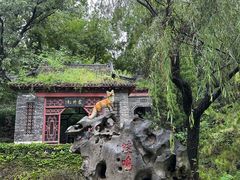 -淄博聊斋城景区