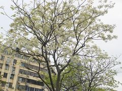 -铁军公园