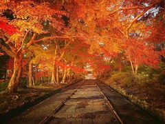 -醍醐寺
