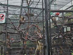 -上海动物园(地铁站)