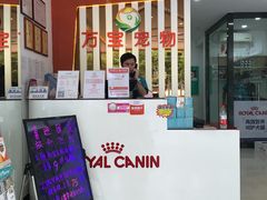 -创凡宠物医院·骨专科  猫科中心(西乡分院)