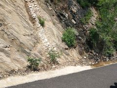 -黄金寨原生态旅游区