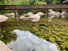 -崂山九水游览区