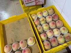 -老袁家蜜桃农场·阳山水蜜桃