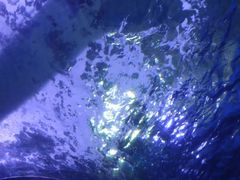 -泉城欧乐堡海洋极地世界