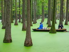 -渌洋湖湿地公园