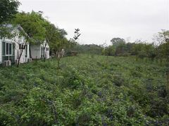 -广东花都香草世界旅游度假区