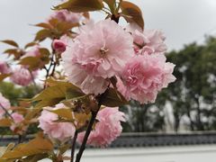 -长广溪湿地公园