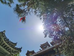 -终南山南五台景区