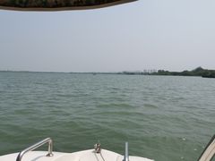 -南湖国家城市湿地公园