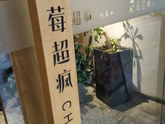 -莓超疯