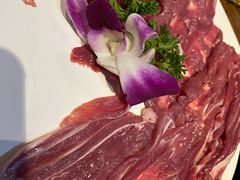 -南门四季铜锅涮肉(左家庄店)