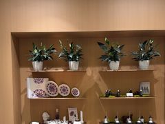 -泉·颂钵冥想·减压·疗愈SPA(前海店)