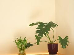 -fishtank鱼缸咖啡(三山街店)