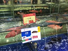 -东江海鲜酒家(艺都分店)