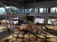 -自贡恐龙博物馆