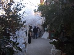-The Grounds of Alexandria