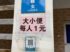 -东郊椰林