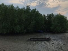 -盐洲岛