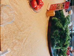 -丹江渔村(望京店)