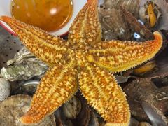 -永红源啤酒·烧烤·海鲜·大排档(青特城店)