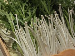 -蝎王府羊蝎子(西直门店)
