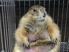 -乐宠宠物店(世纪金源店)