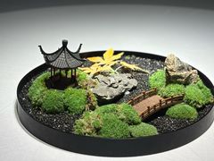 -松云泽