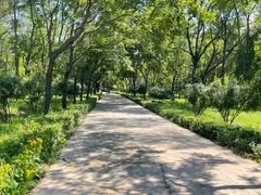 -森林公园(尖草坪区)