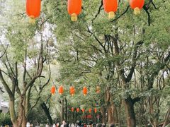 -东湖落雁景区