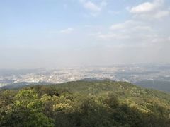 -东莞市大岭山森林公园