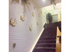 -确喜美味小厨(西单商场兰州店)
