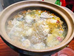 炭炉果鸡煲-威邵鸡煲(西华路总店)