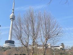 -龟山风景区-龟山电视塔