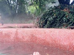 -咸宁万豪温泉谷度假区