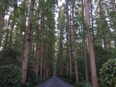 -上海怡沁园度假酒店