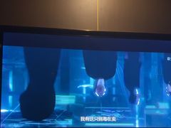 -臻享足道·HIFI影院足疗SPA(成华店)