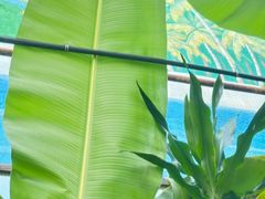 -观唐（国际）度假村温泉