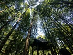 -东湖落雁景区