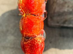 -和禄德冰糖葫芦