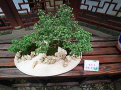 -汇龙潭