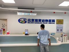-北京观赏动物医院·24小时大型综合·猫专科·异宠专科