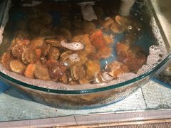 -同道蒸汽海鲜烧烤自助(刘庄夜市店)
