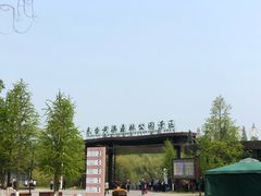 -黄海国家森林公园